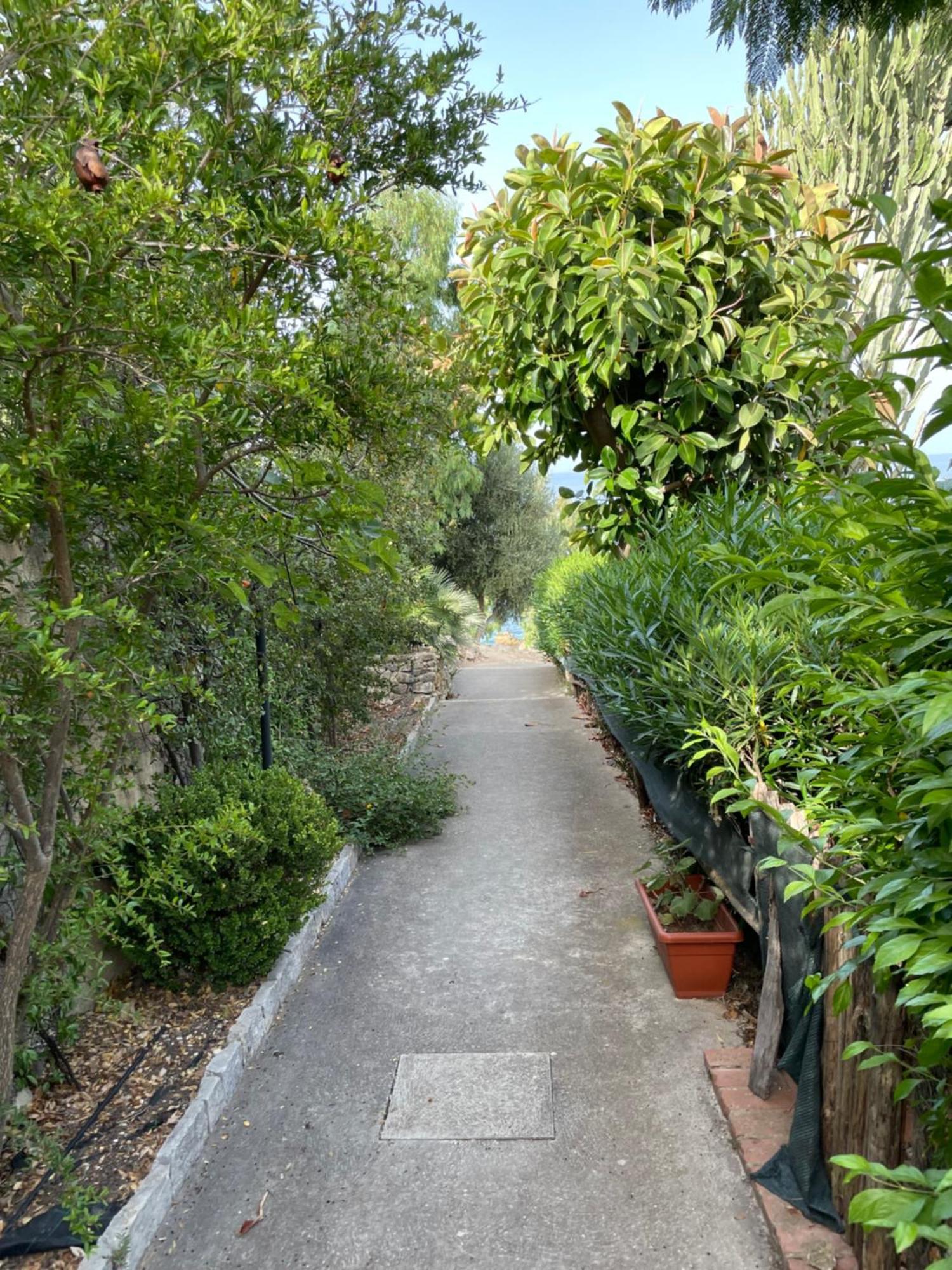 Villa Hibiscus Scopello Scopello  Exterior foto